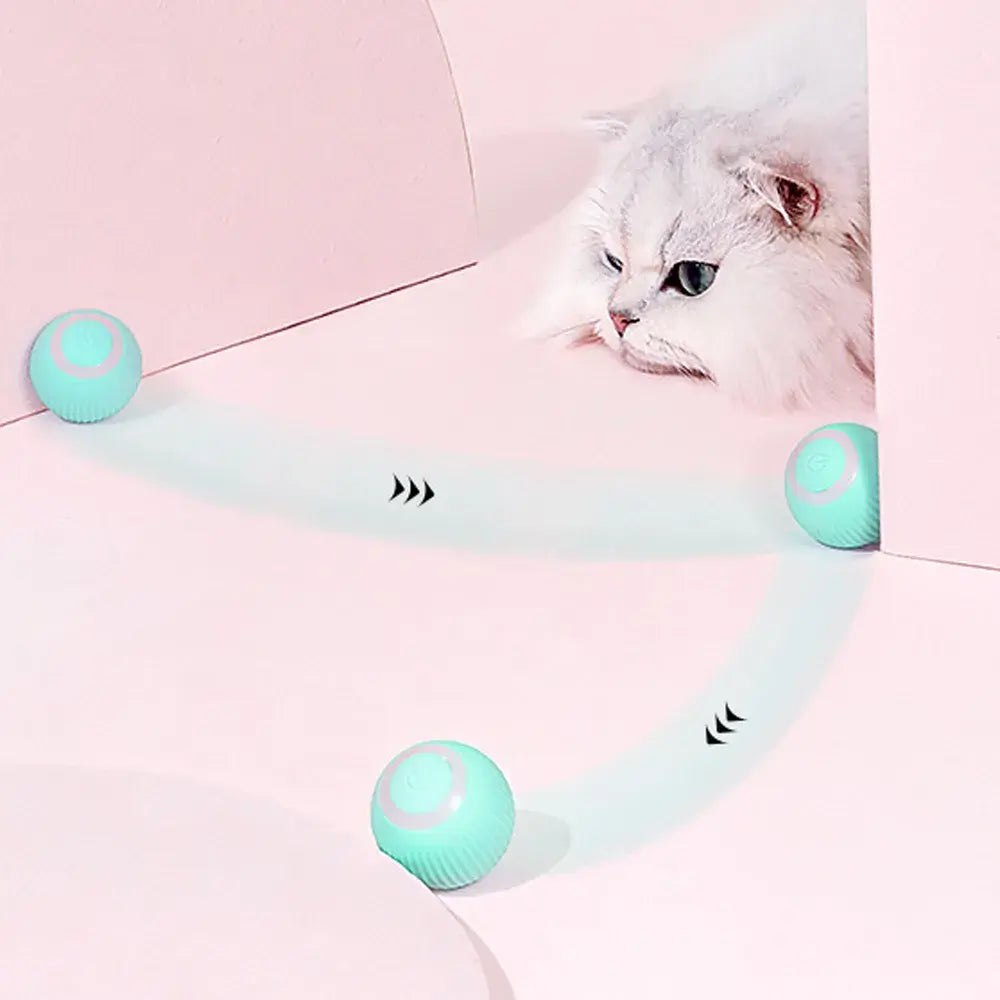 Rolling Ball Electric Cat Toys🧶