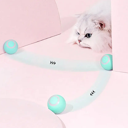 Rolling Ball Electric Cat Toys🧶
